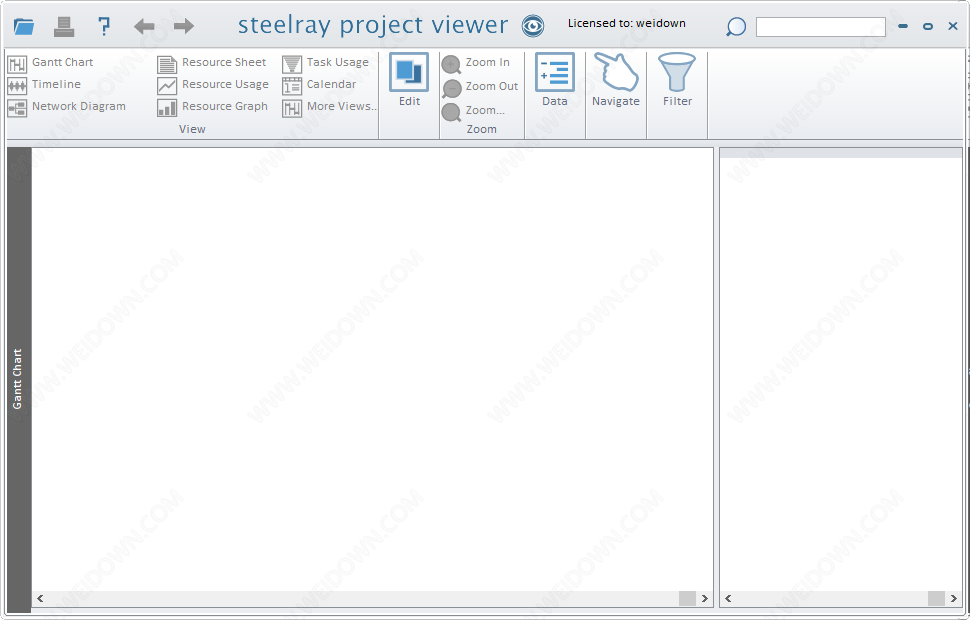 Steelray Project Viewer